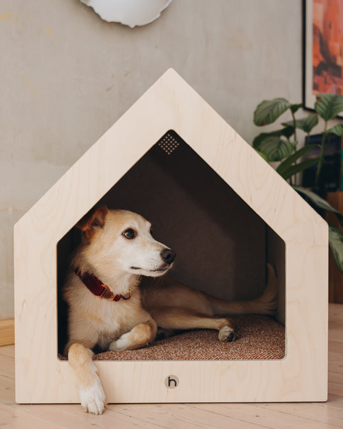 Wood Houm
